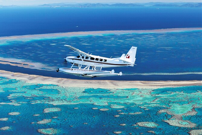 Panorama: the Ultimate Seaplane Tour - Great Barrier Reef & Whitehaven Beach - What to Bring