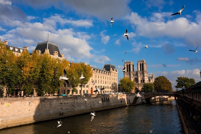 Paris Highlights Private Tour With Arc De Triomphe Skip the Line Ticket Access - Customer Reviews and Ratings