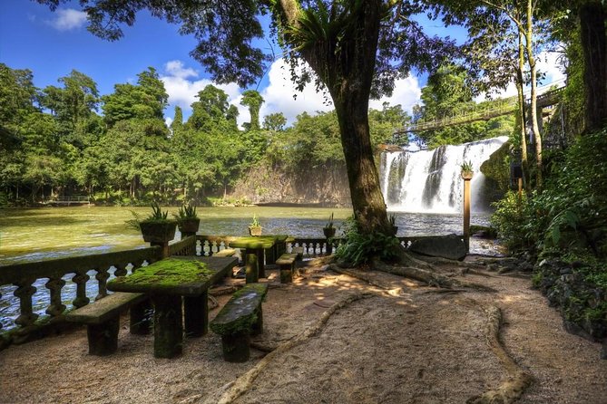 Paronella Park and Millaa Millaa Falls Full-Day Tour From Cairns - Insider Tips