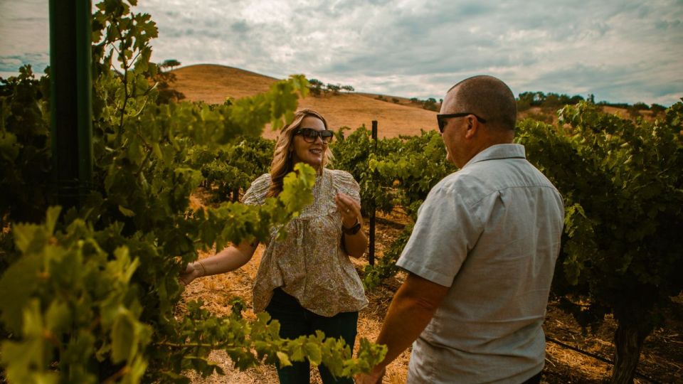 Paso Robles: Sidecar Deluxe Wine Tour With Tastings - Tour Highlights