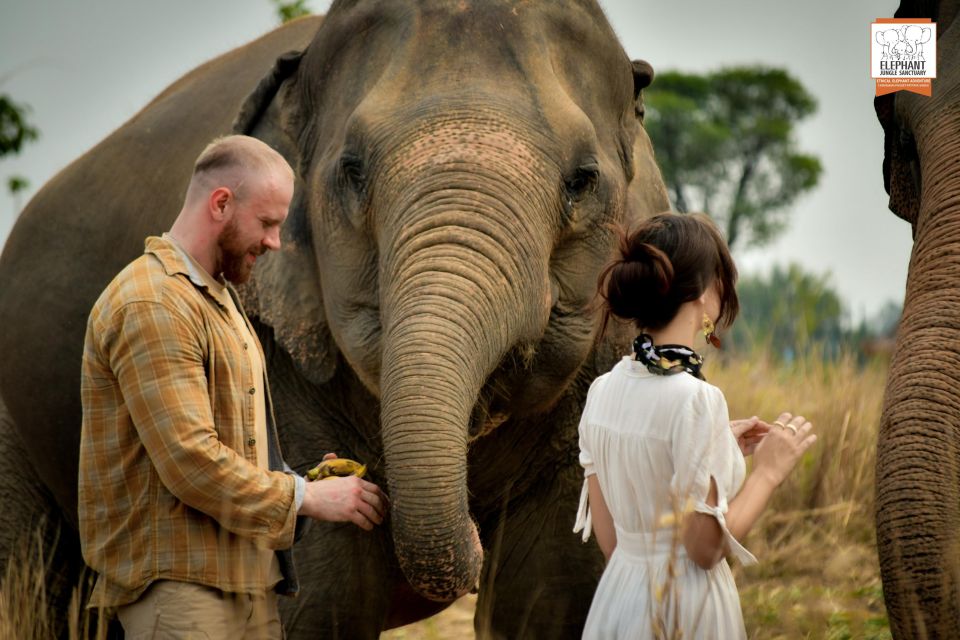 Pattaya: Elephant Jungle Sanctuary Half-Day Tour With Meal - Key Highlights