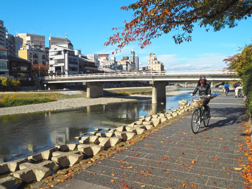 Pedal Through Kyoto's Past: a Biking Odyssey - Tour Guide and Group Size