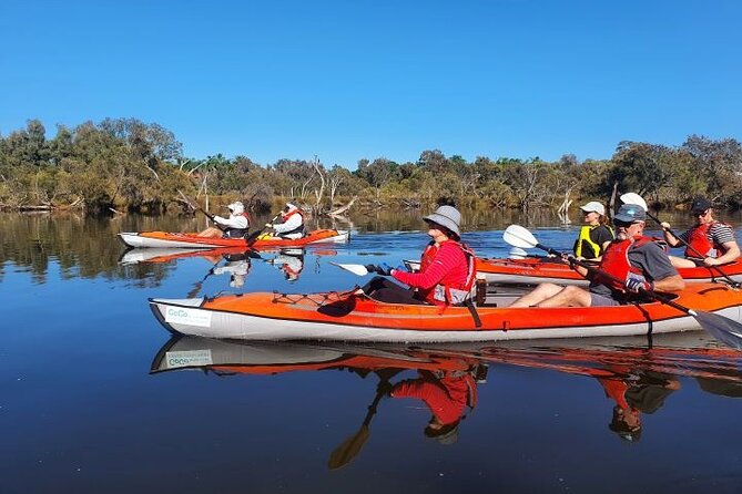 Perth Kayak Tour - Canning River Wetlands - Reviews and Testimonials