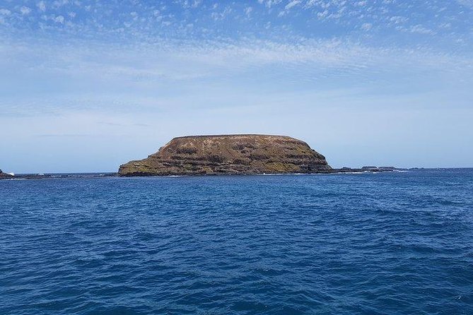 Phillip Island Penguin and Wildlife Tour - Reviews and Ratings