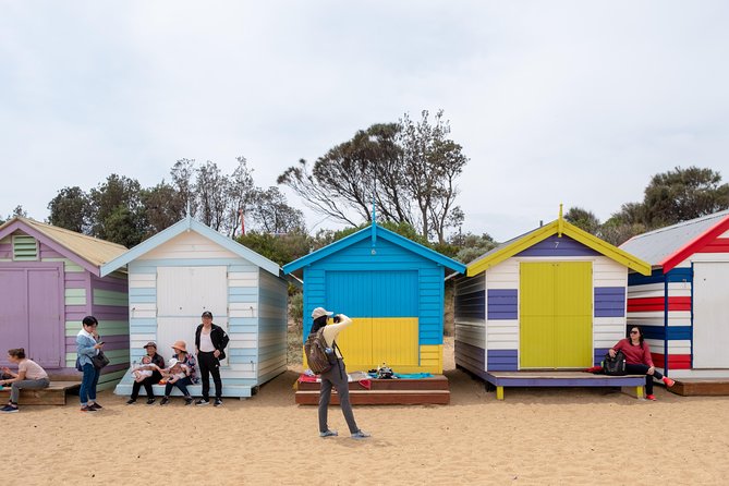 Phillip Island Penguin, Brighton Beach, Moonlit Sanctuary From Melbourne - Tour Reviews