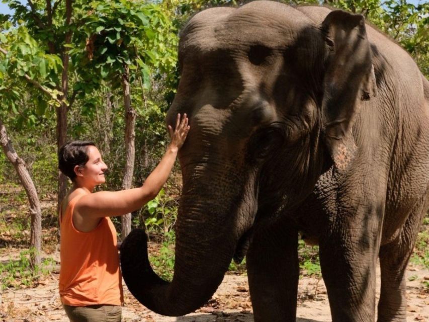 Phnom Tamao Wildlife Center, Buddha Kiri Cambodia Day Tour - Wat Putt Kiri Cambodia Overview