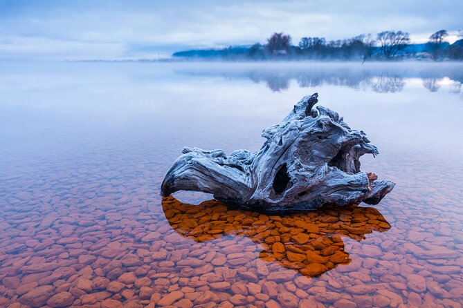 Photography Tour From Queenstown to Glenorchy - 1/2 Day - Important Information