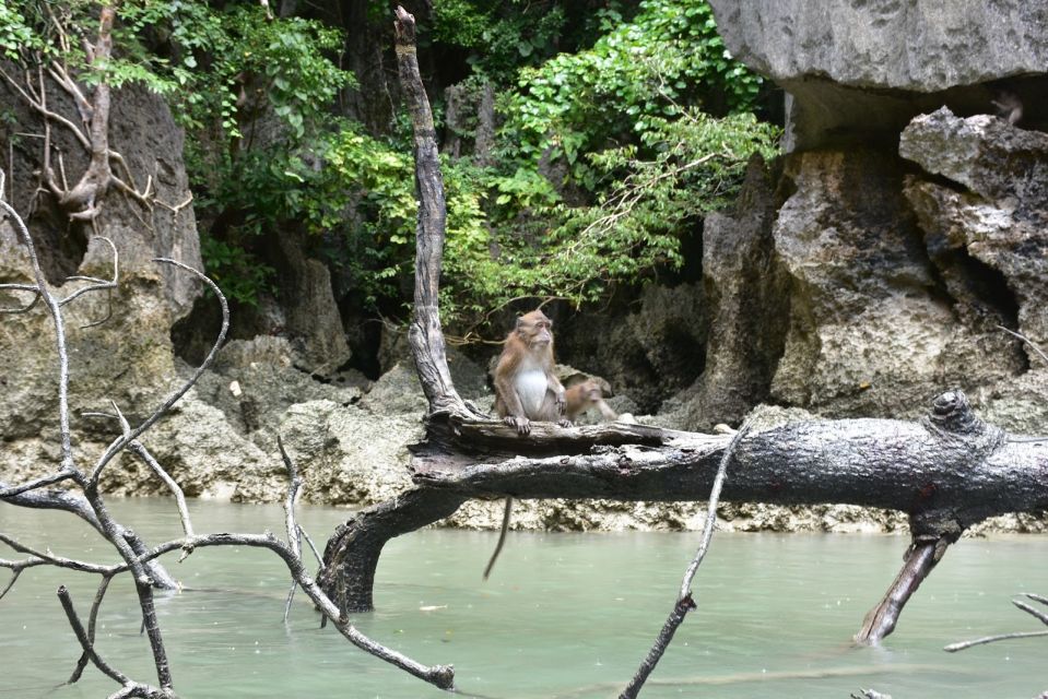 Phuket: Day in the Islands Kayaking Adventure - Transportation and Meeting Points