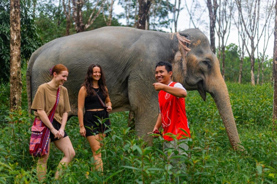 Phuket: Elephant Sanctuary Small Group Tour in Khao Lak - Activity Description