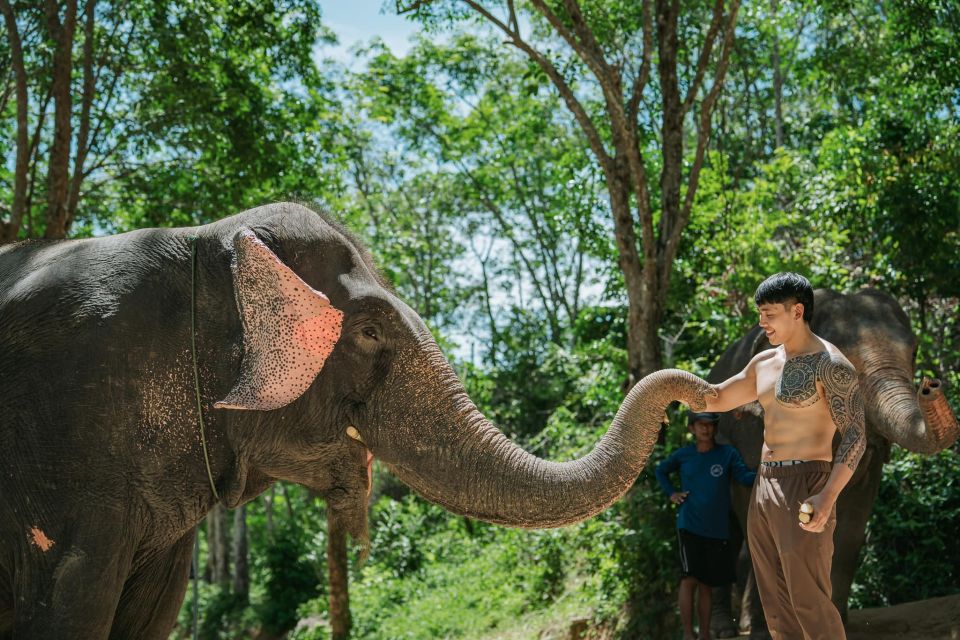 Phuket: Feeding Elephants at Phuket Elephant Care - Location and Itinerary