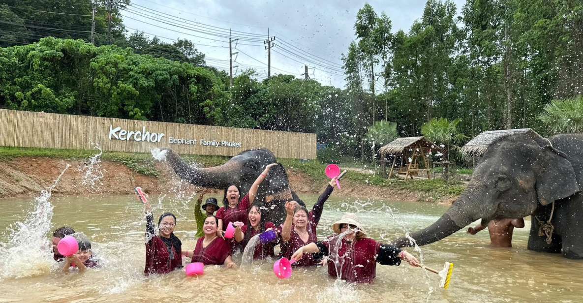 Phuket: Half-Day Elephant Experience With Lunch and Pickup - Highlights of the Elephant Experience