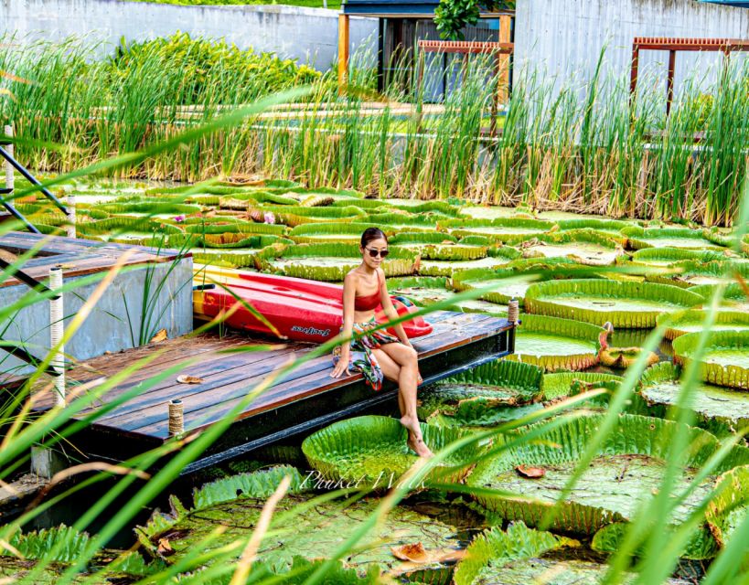 Phuket: Private & All-Inclusive Giant Water Lilies Tour - Inclusions and Exclusivity