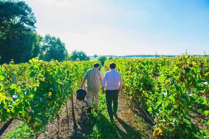 Picnic in the Vines - A Unique Loire Wine Experience - Vineyard Picnic Lunch Experience