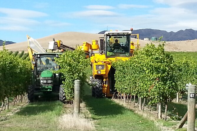 Picton Shore Excursion Marlborough Wine Region Small-Group Tour - Areas of Improvement