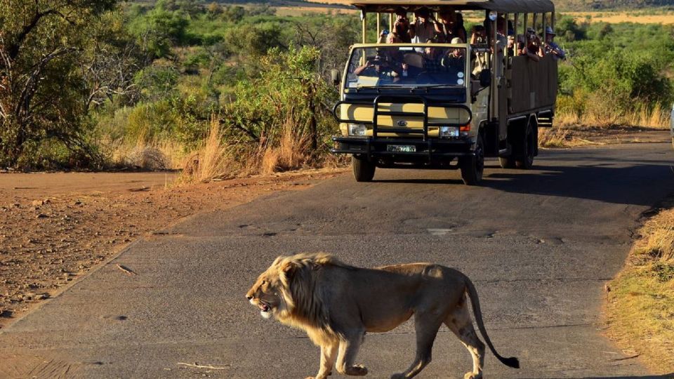 Pilanesberg Full-Day Shared Safari With Sun City Visit - Customer Ratings and Reviews