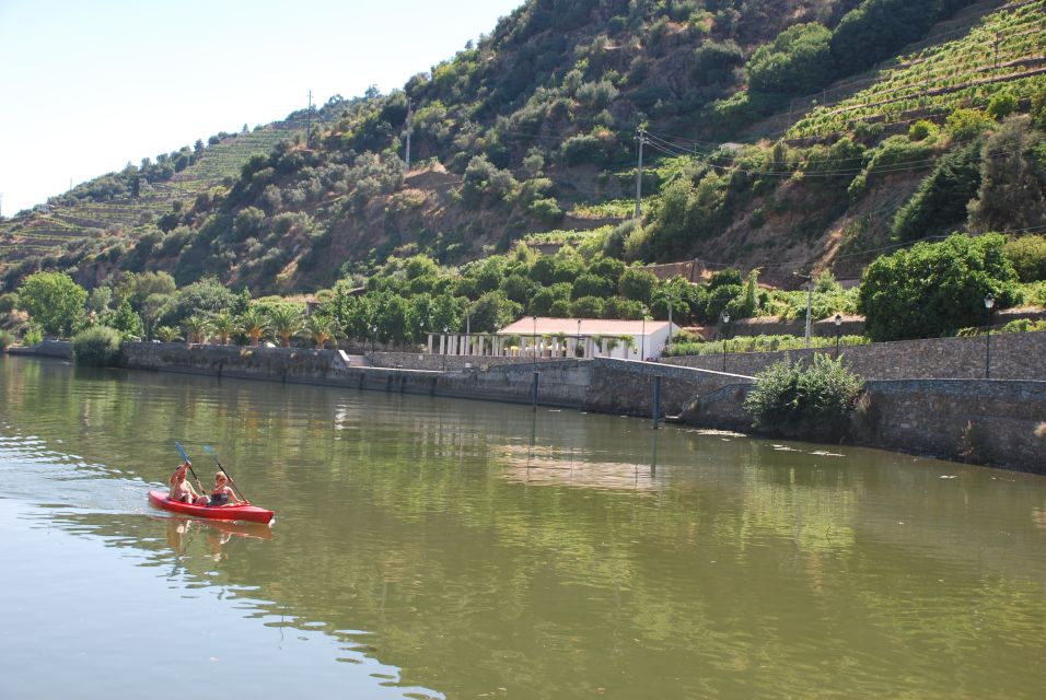 Pinhão: Douro Valley Rabelo Boat Tour and Kayak Experience - Participant Details