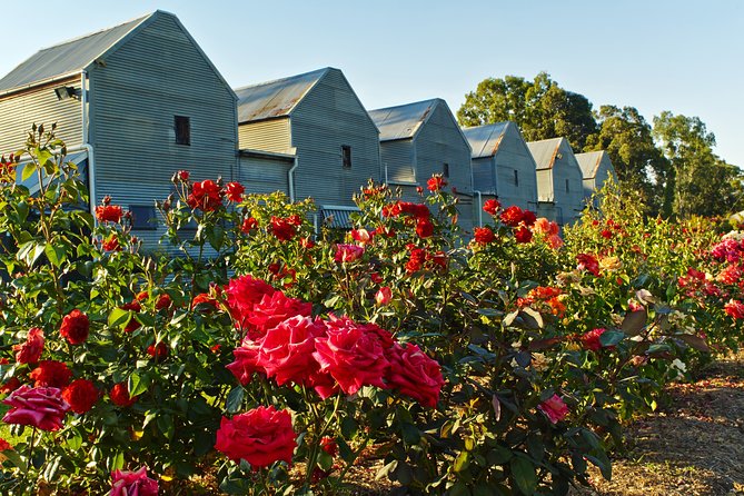 Pizzini Wines King Valley Esperienza - Private Wine Tasting & Grazing Plate - Common questions