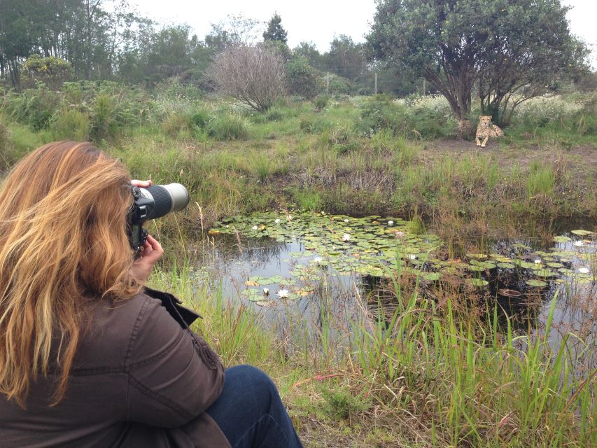 Plettenberg Bay: Cats in Conservation Full Day Tour - Tour Highlights