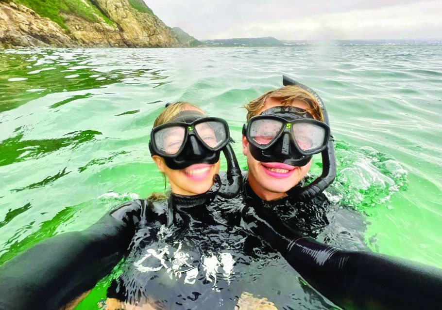 Plettenberg Bay: Swim With the Seals - Starting Location Information