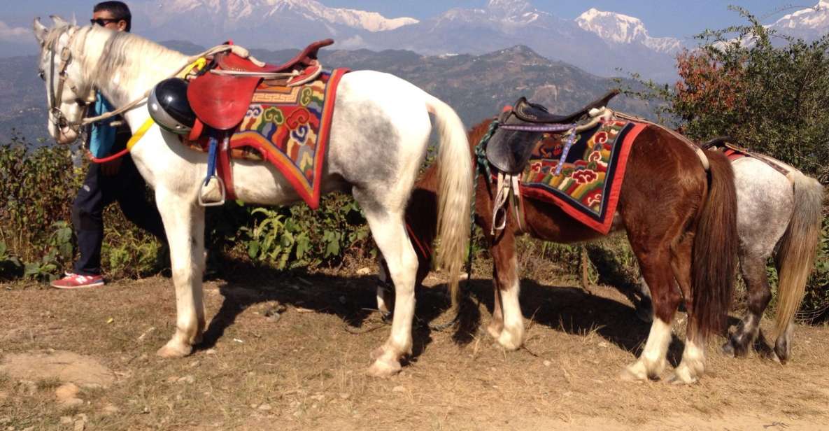 Pokhara: 2.5-Hour Horse-Pony Ride in Nature - Activity Description