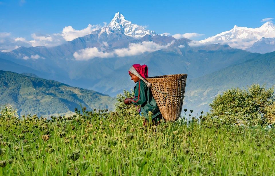 Pokhara: Dhampus Village Guided Day Tour - Lap on Mountain - Village Exploration