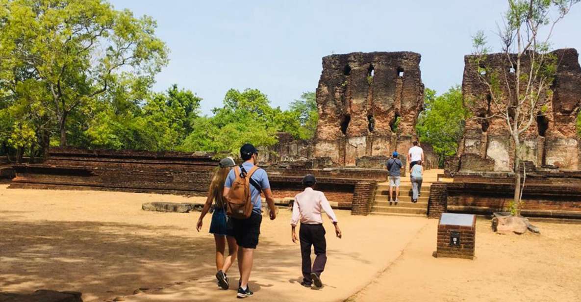 Polonnaruwa Sight Seeing Tour and Minneriya Elephant Safari - Minneriya Elephant Safari Experience