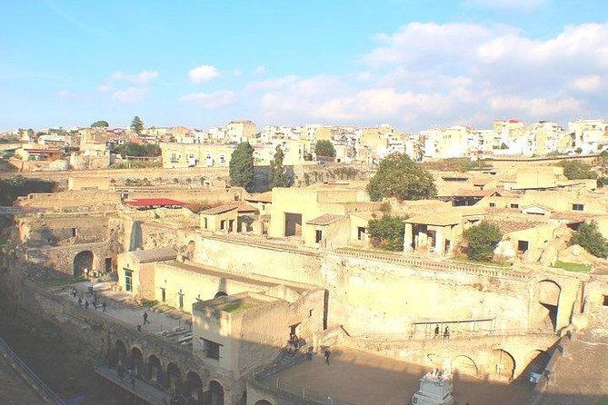 Pompeii and Herculaneum Private Tour With Native Guide and Skip the Line Tickets - Cancellation Policy