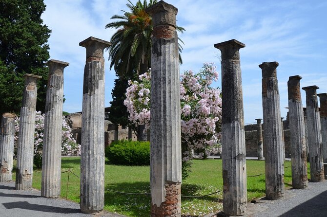 Pompeii: Guided Small Group Tour Max 6 People With Private Option - Experience Highlights and Insights