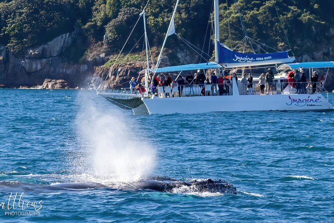 Port Stephens 3 Hour Whale and Dolphin Watch Cruise - Common questions
