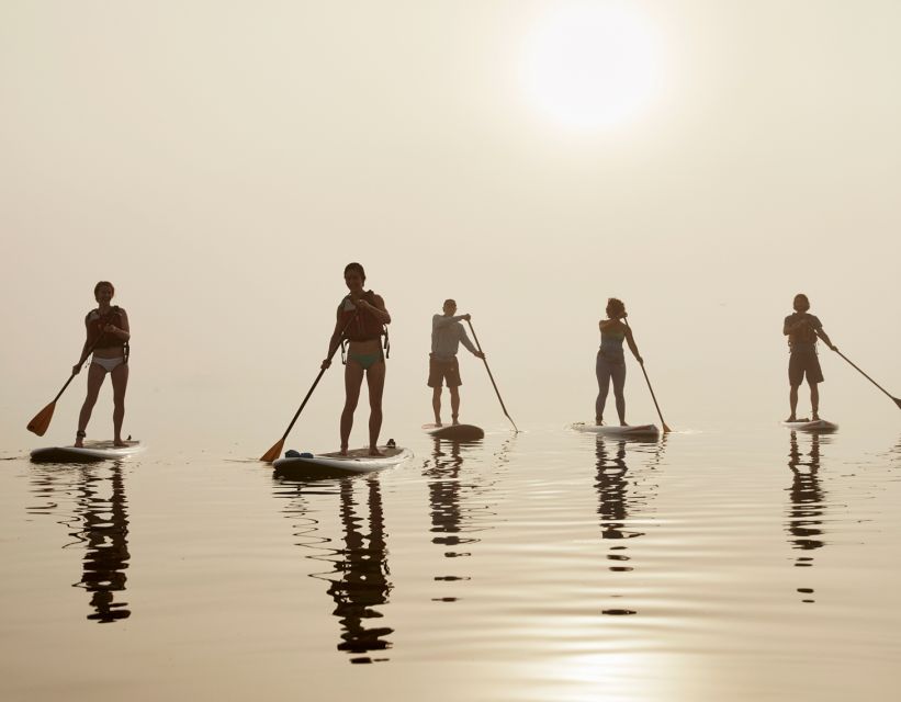 Portland, ME: Guided Harbor Paddleboard Tour - Inclusions