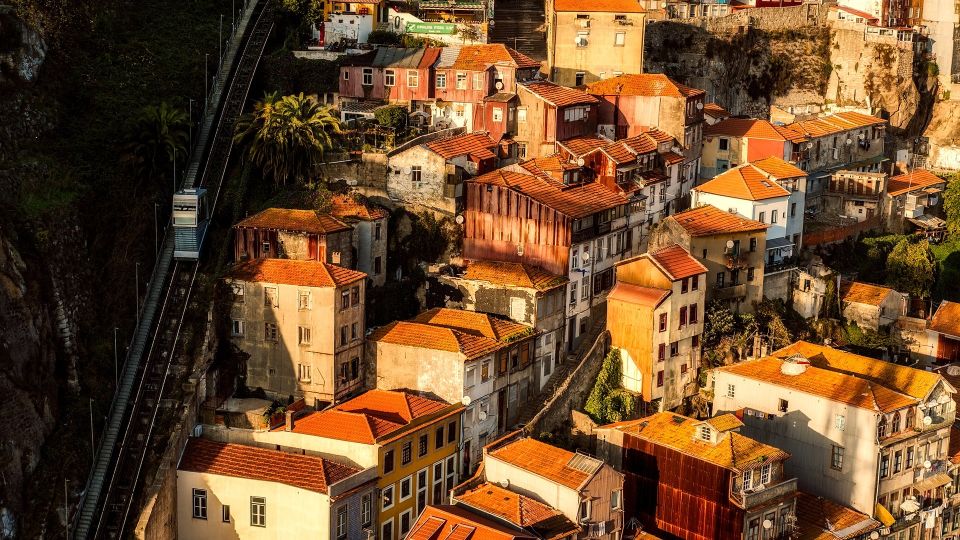 Porto City Tour With Lunch, River Cruise & Port Tasting - Tour Inclusions