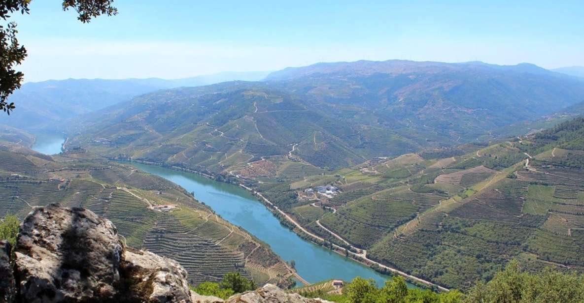 Porto: Douro Valley Tour With Cruise, Lunch & 2 Wineries - Tour Highlights