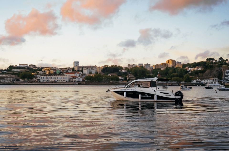 Porto: Private Boat Tour in Douro River - Tour Highlights
