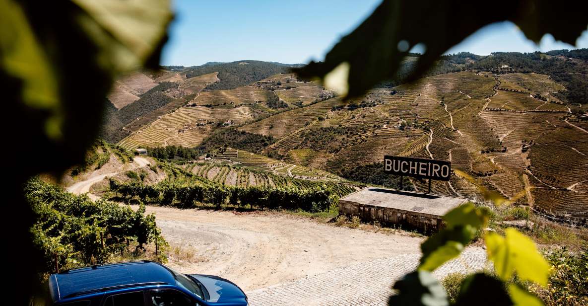 Porto: Private Douro Valley 4x4 Tour With Lunch - Tour Highlights