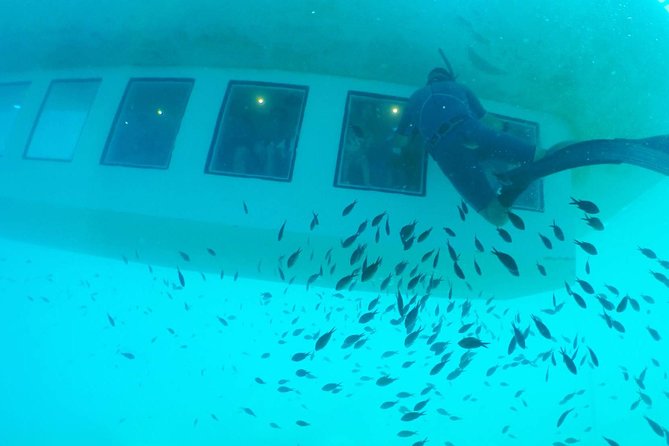 Poseidon Submarine At Mandraki Harbor - Underwater Exploration: Air-Conditioned Cabin