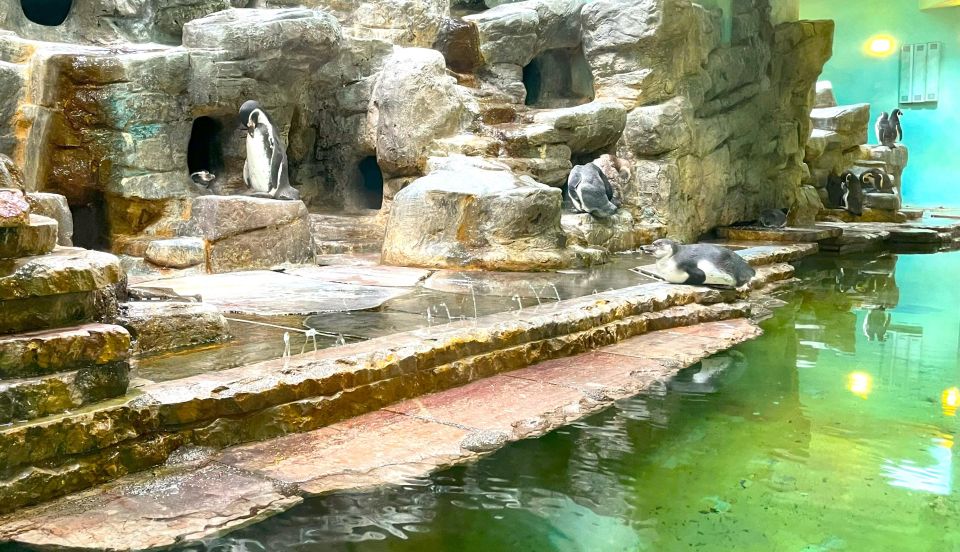 Prague Zoo Online Audio Guide (No Ticket) - Highlights of Prague Zoo Experience