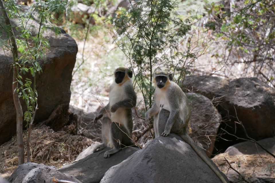 Praia: Guided Nature Hike to Cidade Velha - Detailed Description of the Hike