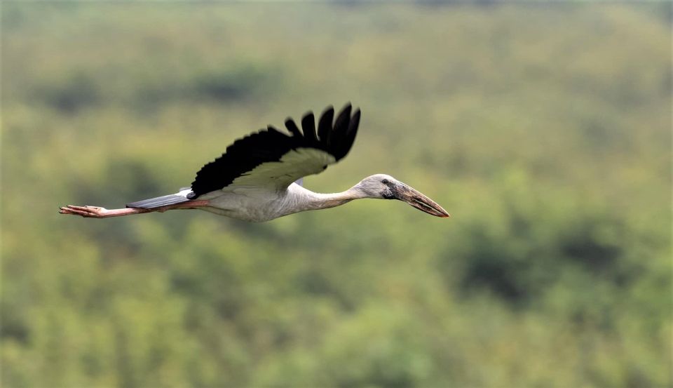 Prek Toal Birds Sanctuary & Floating Village Private Tour - Itinerary Highlights
