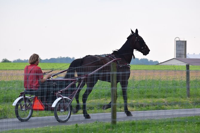 Premium Amish Country Tour Including Amish Farm and House - Pricing and Booking Details