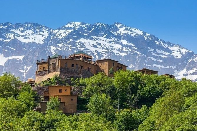 Premium Atlas Mountains Day Trip With Camel Ride Experience - Traveler Experiences