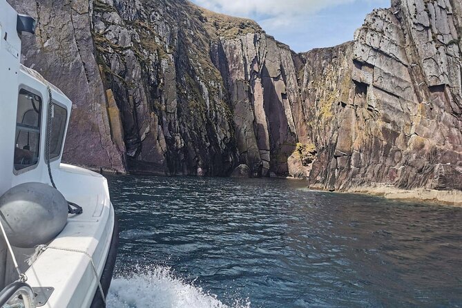 Private 1-Hour Guided Boat Tour in Dingle Peninsula - Traveler Reviews and Resources