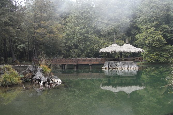 Private 3-Day Tour to Sun Moon Lake and Alishan - Tour Experience Highlights