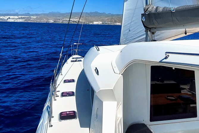 Private 4 Hour Catamaran Cruise in South Coast of Gran Canaria - Expectations and Policies