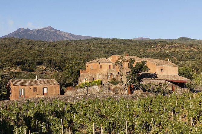 Private 6-Hour Tour of Three Etna Wineries With Food and Wine Tasting - Cancellation Policy