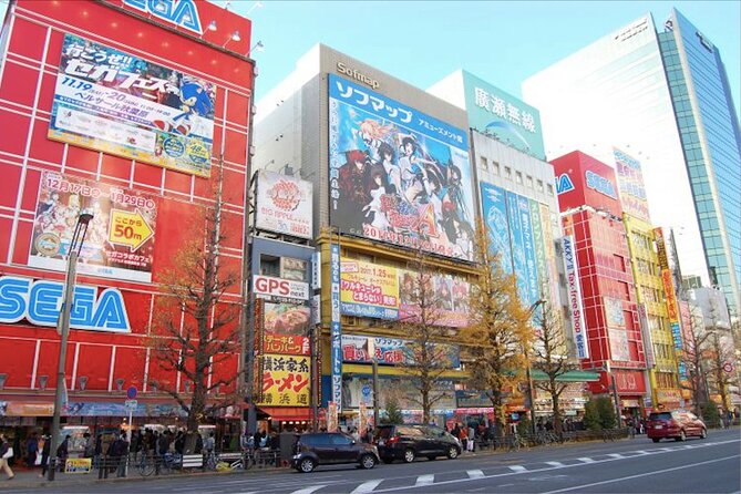 Private Akihabara Anime Guided Walking Tour - Booking Information