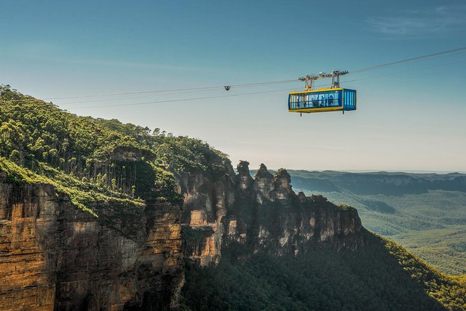 PRIVATE All Blue Mountains Tour, Wildlife Park and River Cruise - Grand Canyon Exploration