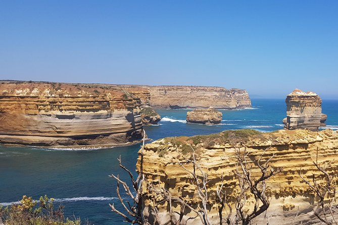 Private and Customised Great Ocean Road and 12 Apostles Tour - Customer Reviews and Testimonials