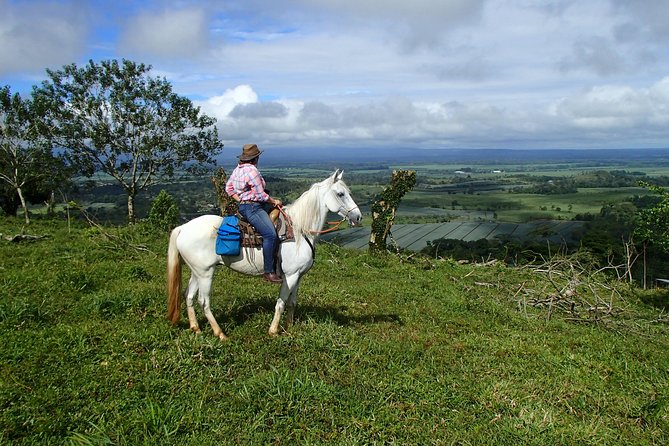 Private and Customized Horseback Riding Adventures - Pricing and Policies