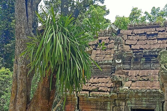 Private Angkor Wat Guided Sunset Tour - Explore Key Sites in Angkor Wat
