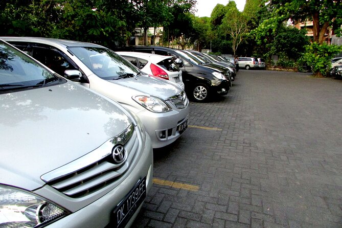 Private Arrival Transfer: Bali Airport to Ubud Area - Traveler Reviews